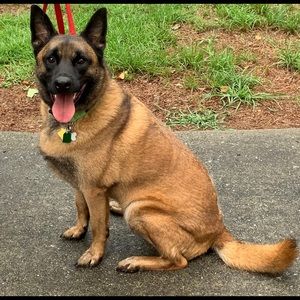 Meet your Posher, Beth